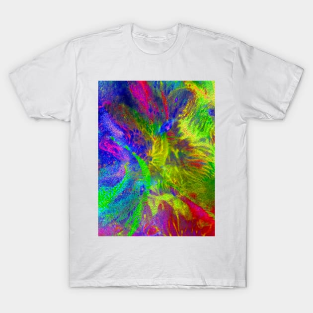 Rainforest T-Shirt by Alchemia